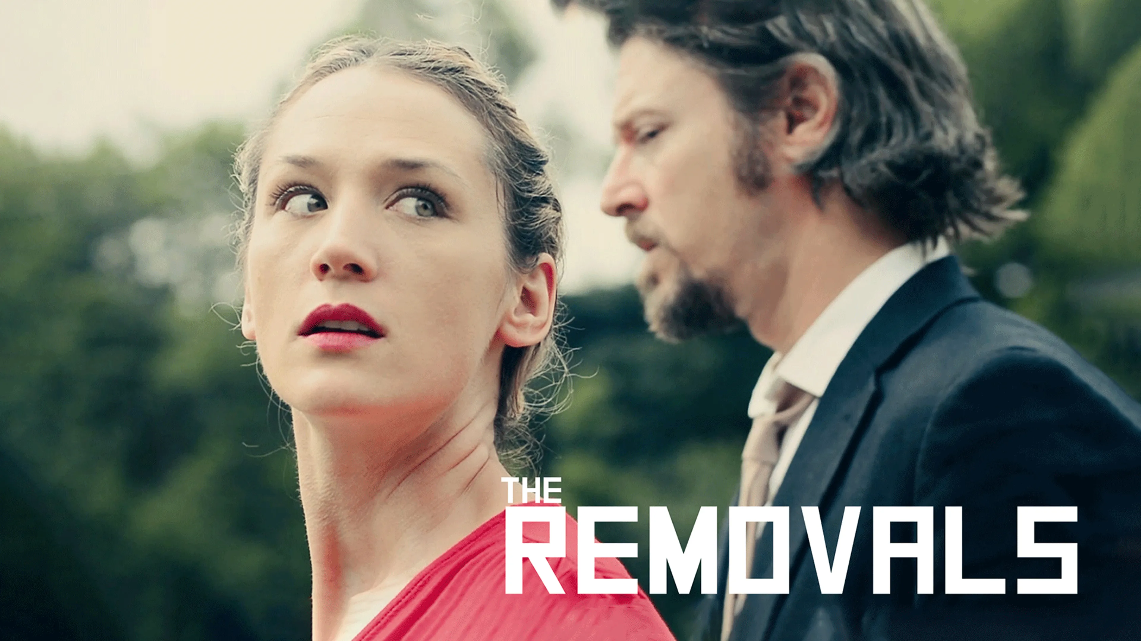The Removals poster
